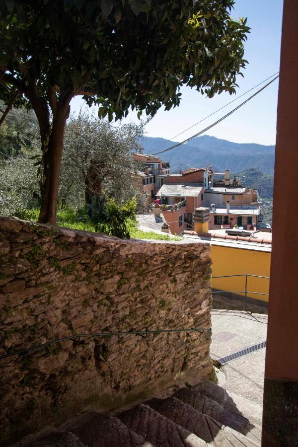 Le Case Di Petra Vignana エクステリア 写真